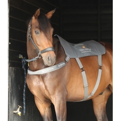 Equilibrium Massage Pad - 3 Length Sizes Available 